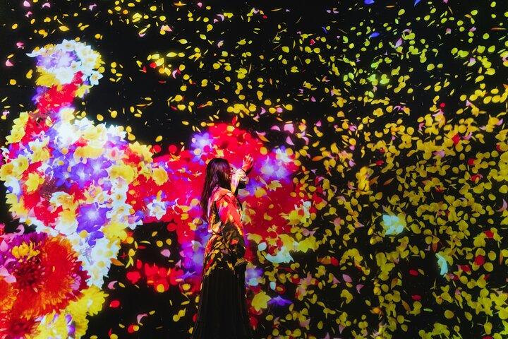 Tokyo: teamLab Planets & Toyosu Fish Market Guided Tour