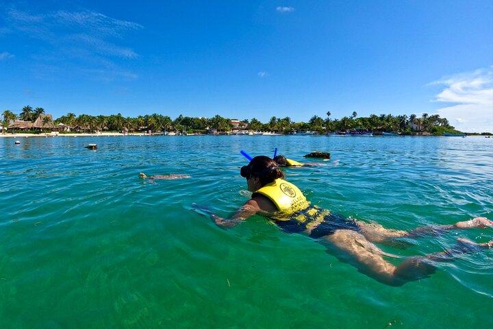 Akumal; Snorkeling with The Sea Turtles