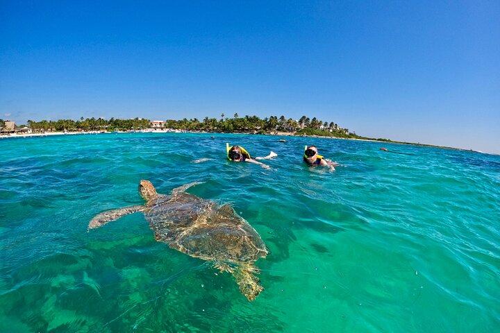 Akumal; Snorkeling with The Sea Turtles