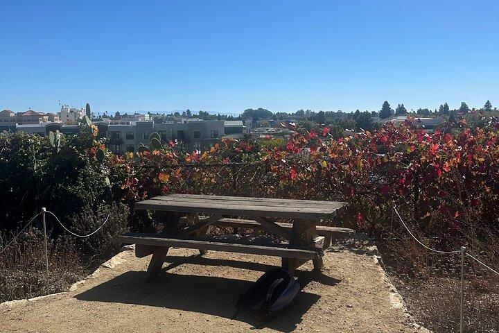 Santa Cruz Walking Tour: Discover Downtown & Mission Hill