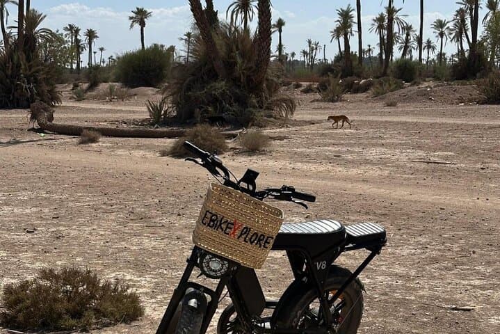 EBike Adventure and Sunset in Marrakech Palmeraie