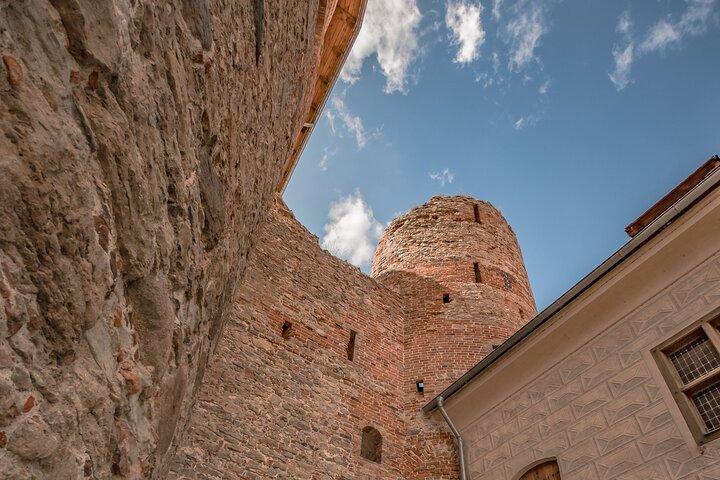 Riga to Vilnius Private Sightseeing Transfer and Tour