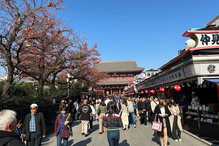 Tokyo Asakusa Sightseeing and History Walking Tour