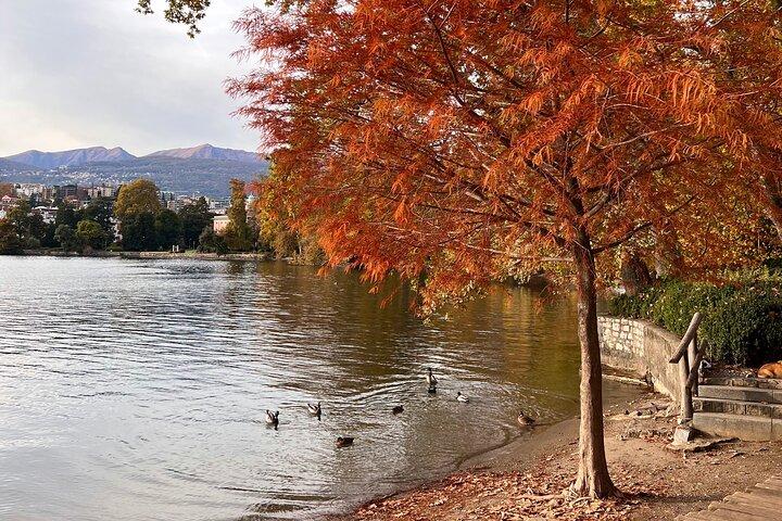 Lugano History & Culture 2 hours Walking Tour– Small Group