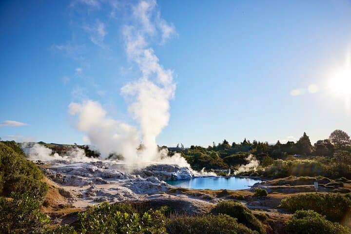 Rotorua Maori Village & Wai Ariki Hot Springs Small Group Tour