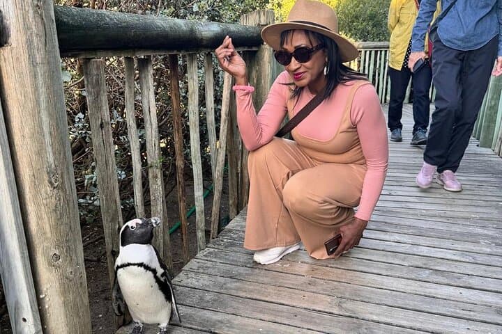 Half Day Adventure Penguin Encounter at Boulders Beach