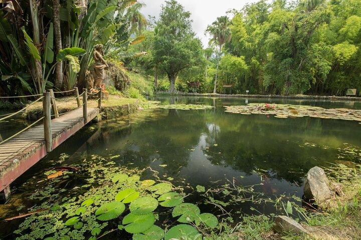 Private Rio Tour: Botanical Garden and Tijuca National Park