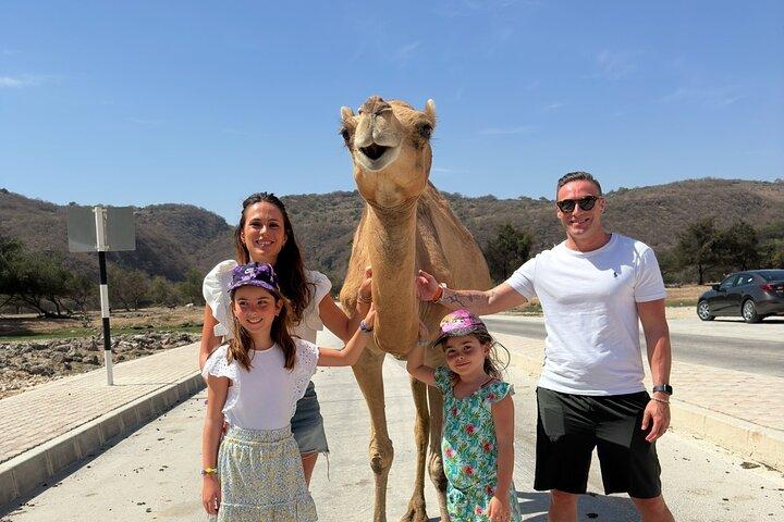 Half Day Nature Escape Taqah , Wadi Darbat and Mount Samhan Tour