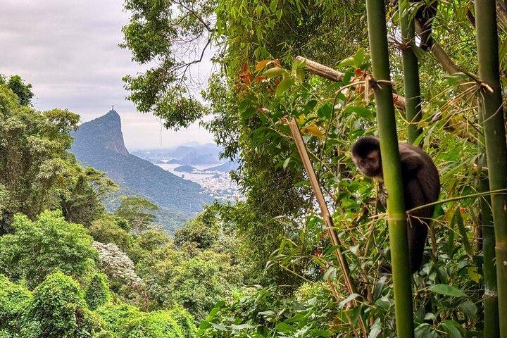 Tour de Jeep pela Floresta da Tijuca, Cachoeiras e Mirantes