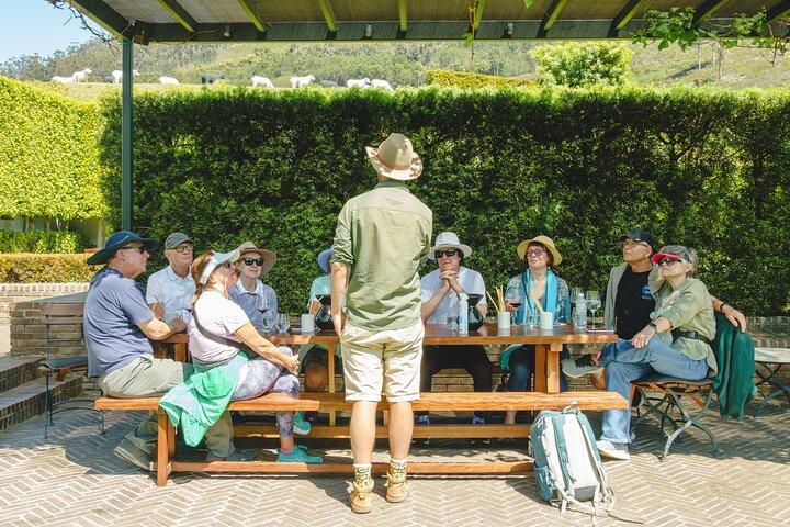 Franschhoek Wine Walk with Lunch