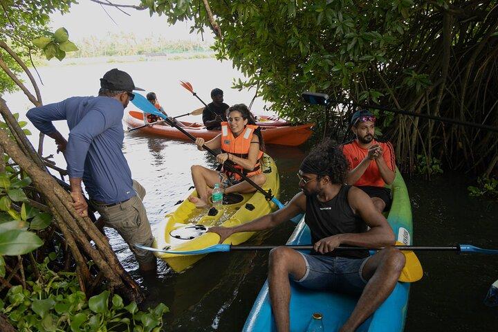 Kayaking in Kochi Guided Backwater and Mangrove Experience