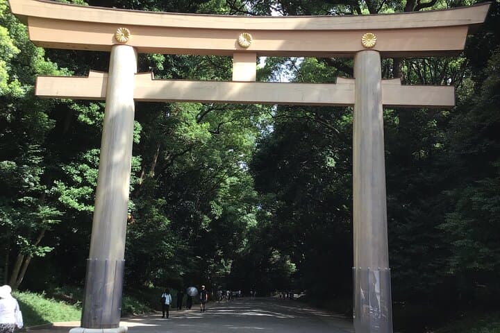 Tokyo: Meiji Jingu Cultural Walking Tour with Japanese Historian