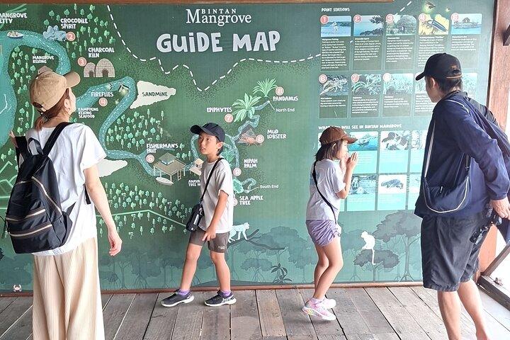 Bintan Mangrove and Fireflies Tour