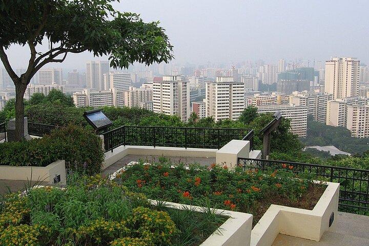 Singapore Culture Tour with Botanic Garden