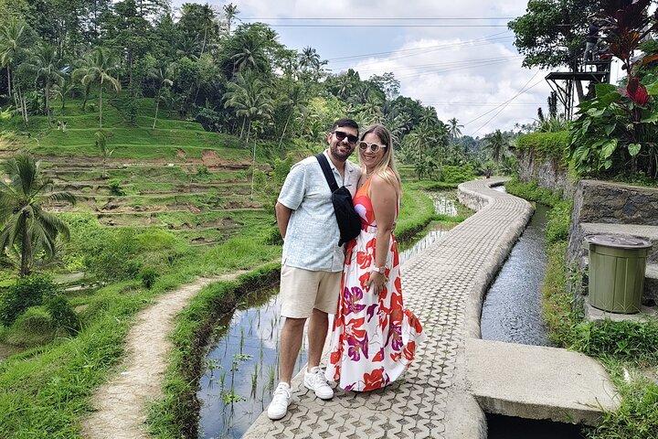 Bali Ubud Tour Monkey Forest, Rice Terrace, Swing, Waterfall, etc