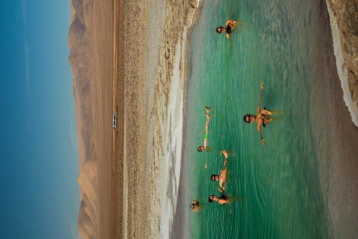 Hidden lagoons of Baltinache | Fleet in saline waters
