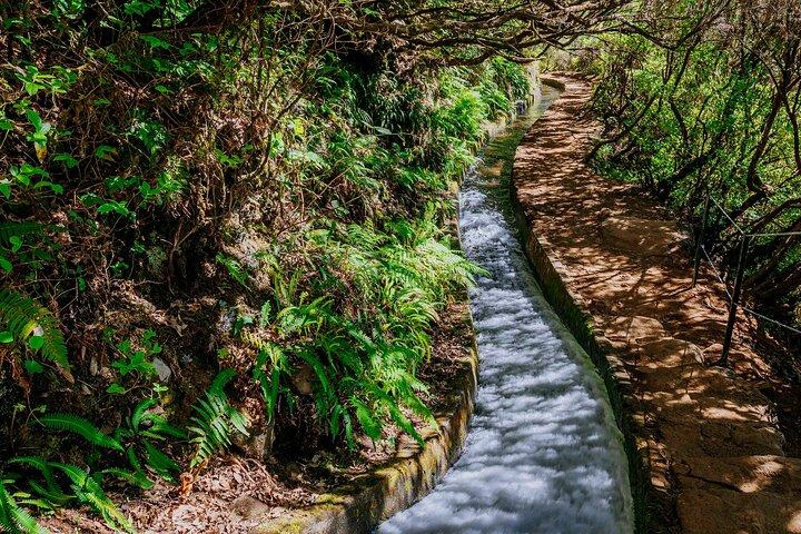 Rabaçal 25 Fontes and Levada do Risco Transfer