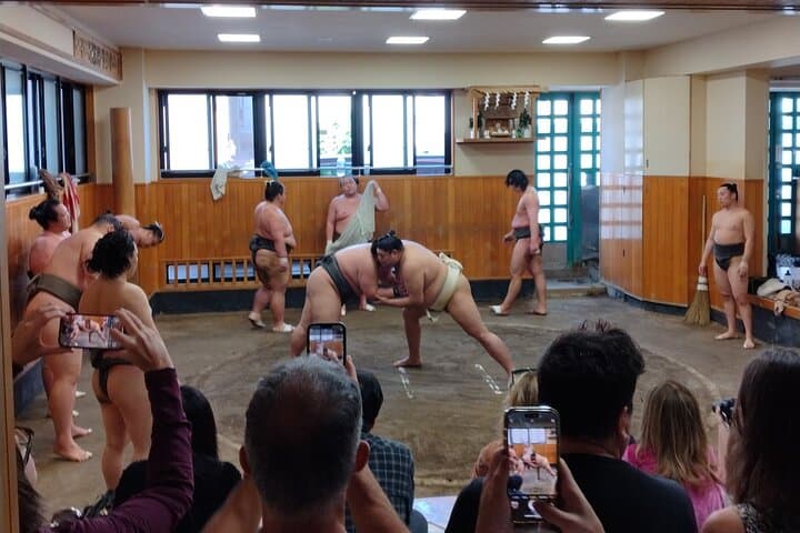 Tokyo Sumo Practice Watching & Visit Old Town Museum