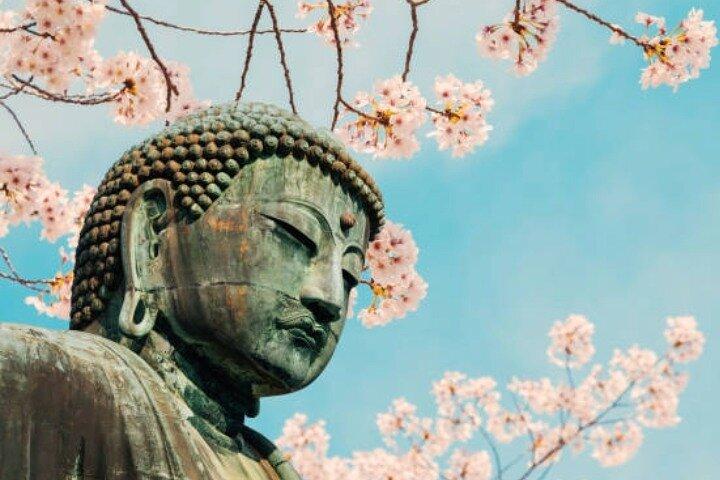Private Full Day Highlights of Kamakura with Hotel Pickup