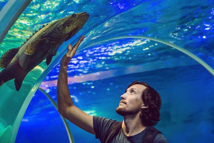 Istanbul Aquarium Tour with Hotel Transfer