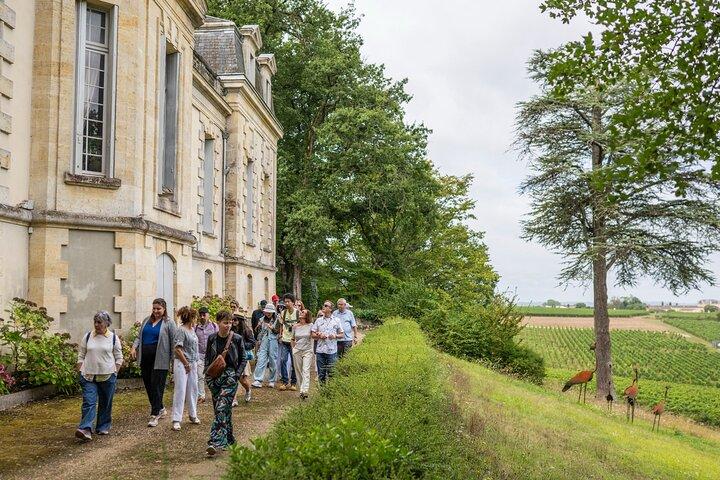 Half-Day Wine tour across Bordeaux’s Vineyards