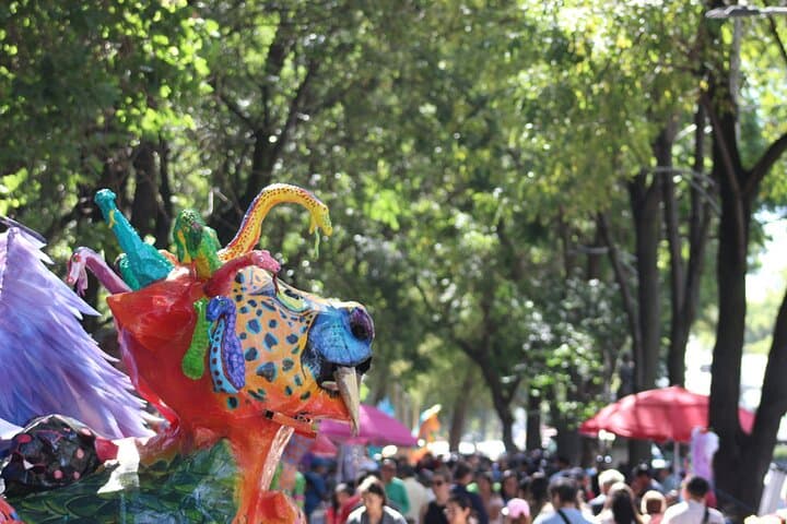 Fly over Chapultepec in cable car - W/ full Mexican Lunch