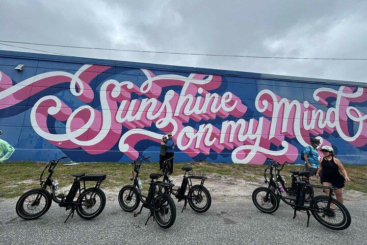 E-Bike Guided Tour Downtown St Pete: Sights & Murals