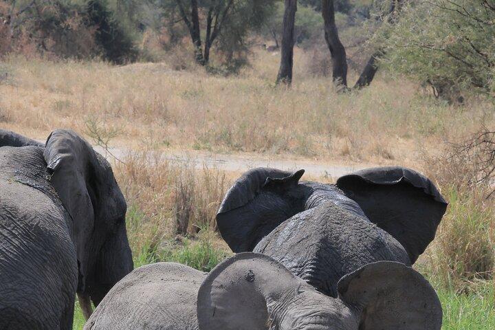 3 Day Joining Safari to Serengeti and Ngorongoro