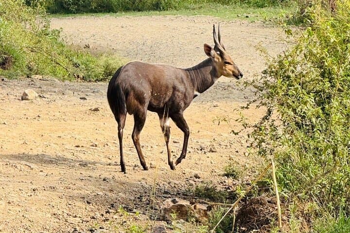 7 Day Kenya Safari With Accommodation