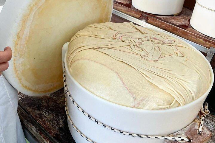 Parmesan Cheese Tour and Tasting in Modena