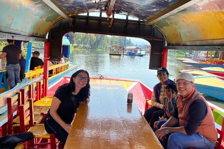 Mexico City Private tour to Coyoacan & Xochimilco on 1975 VW Bus
