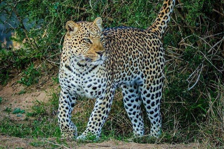 3 Days 2 Night Safari in Mikumi.
