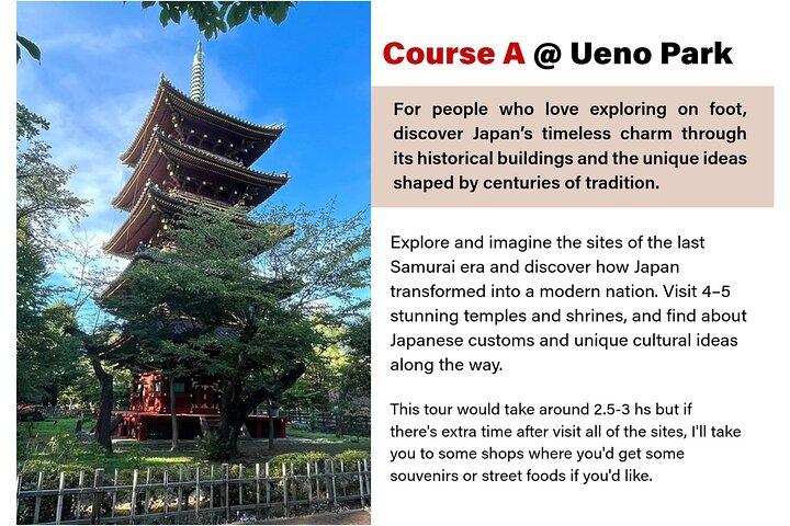 Tailored Tokyo private Tour with a Local Guide (10:00〜)