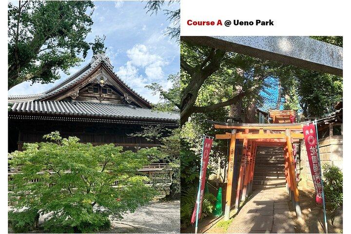 Tailored Tokyo private Tour with a Local Guide (10:00〜)