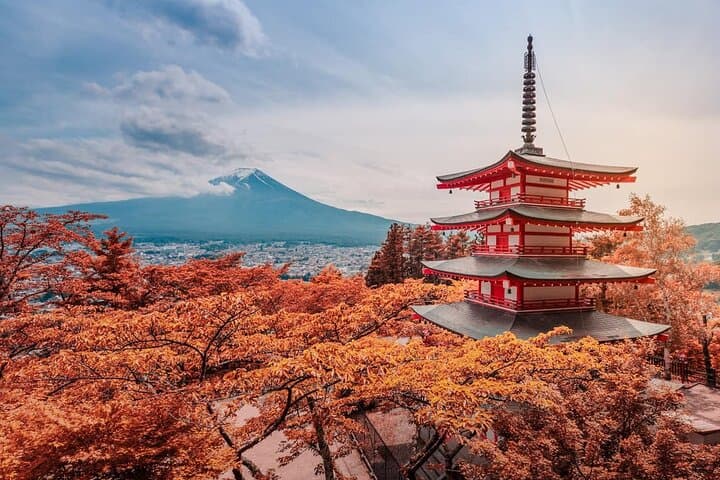 Mt Fuji Full Day Private Tour from Tokyo with English Driver
