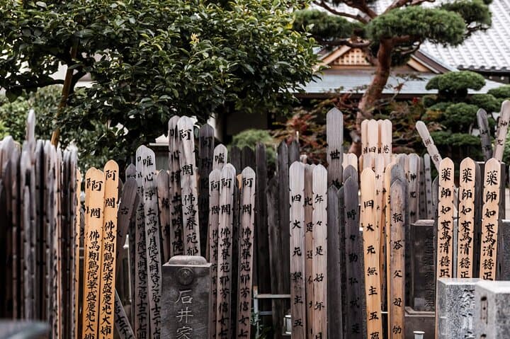 Tokyo History Tour - Private & Personalized with a Local Guide