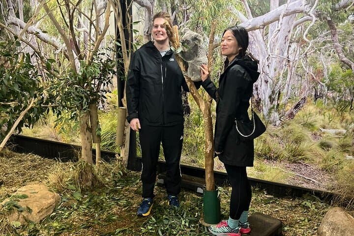 Blue Mountains Private Tour- Main attractions -Pick up & Drop off