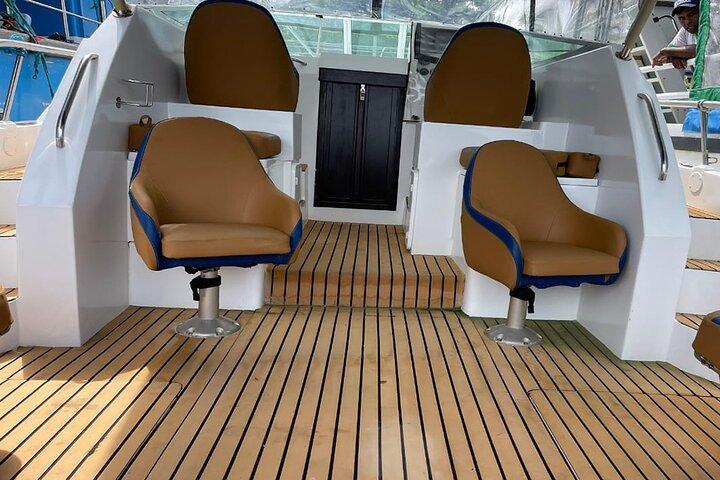 Private Whale Watching Tour by Luxury Speedboat from Mirissa