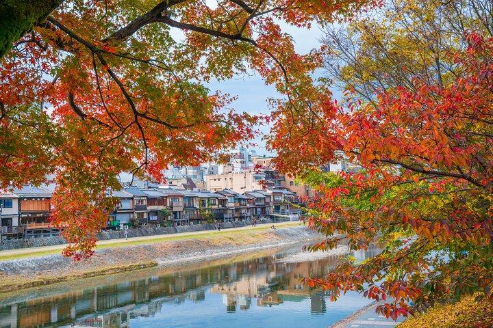 Kyoto Gion Small-Group Cultural Walk: Geisha Traditions Explained