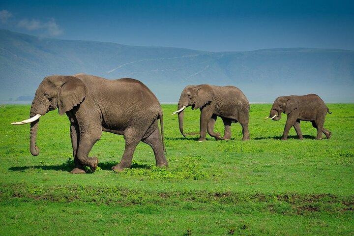 Witness Africa in a 4 Days of Adventure
