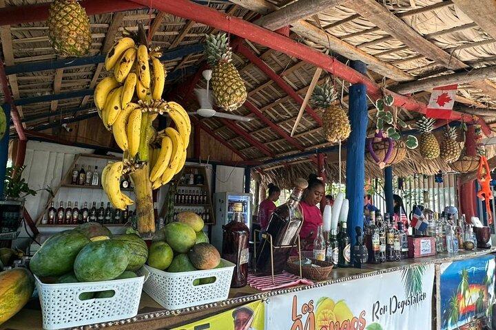 Puerto Plata VIP Experience : City & Countryside Escape