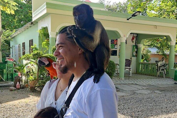 Puerto Plata VIP Experience : City & Countryside Escape