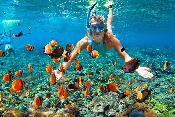 Joiners Hilutungan and Pandanon Island Tour Cebu