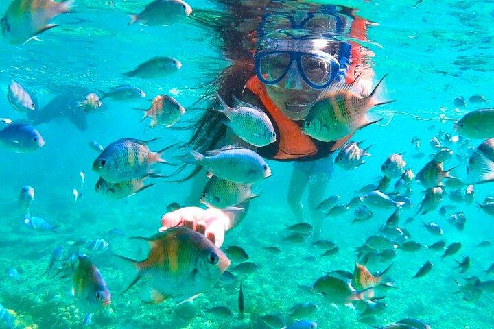 Joiners Hilutungan and Pandanon Island Tour Cebu