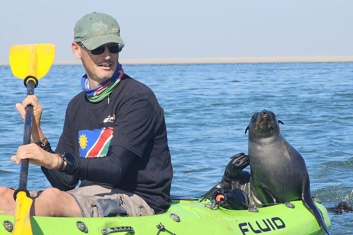 Seal Kayaking & Sandwich Harbour Tour