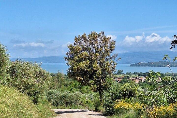 The spell of Lake Trasimeno - Trekking Tour