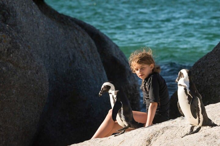 All-Inclusive Private Tour: Table Mountain, Cape Point & Penguins