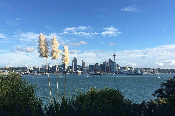 Volcanoes, Coasts, and Secret Spots Afternoon Tour in Auckland