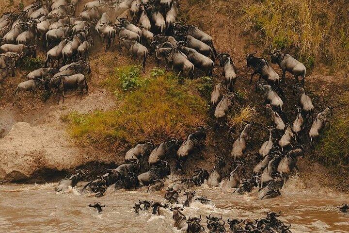 Tsavo East Full-Day Safari from Mombasa or Diani beach