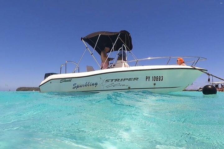Discovery of the lagoon DE Moorea Visit and Snorkeling 5 Pax Max